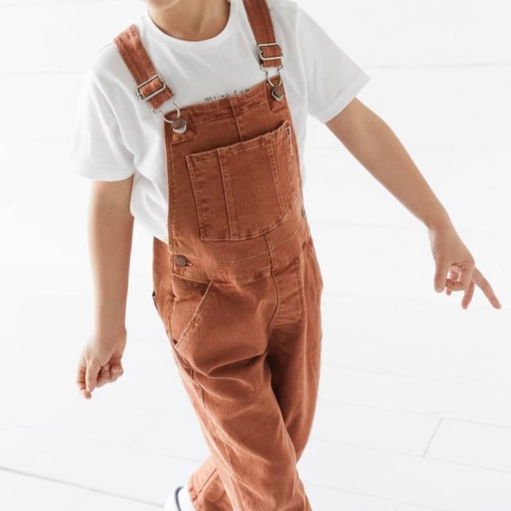 Zara Denim Overalls